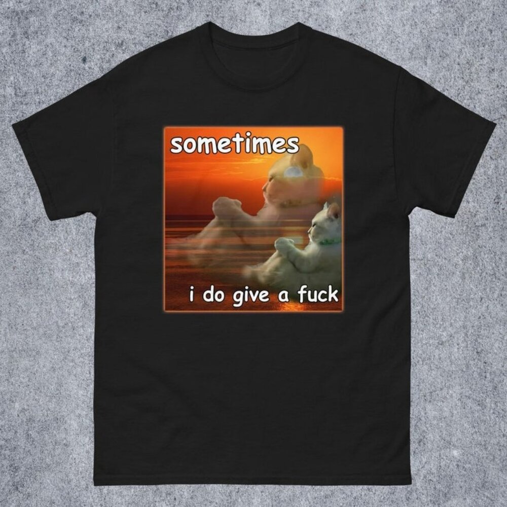Sometimes I Do Give A Funny Cat Meme Tee Shirt